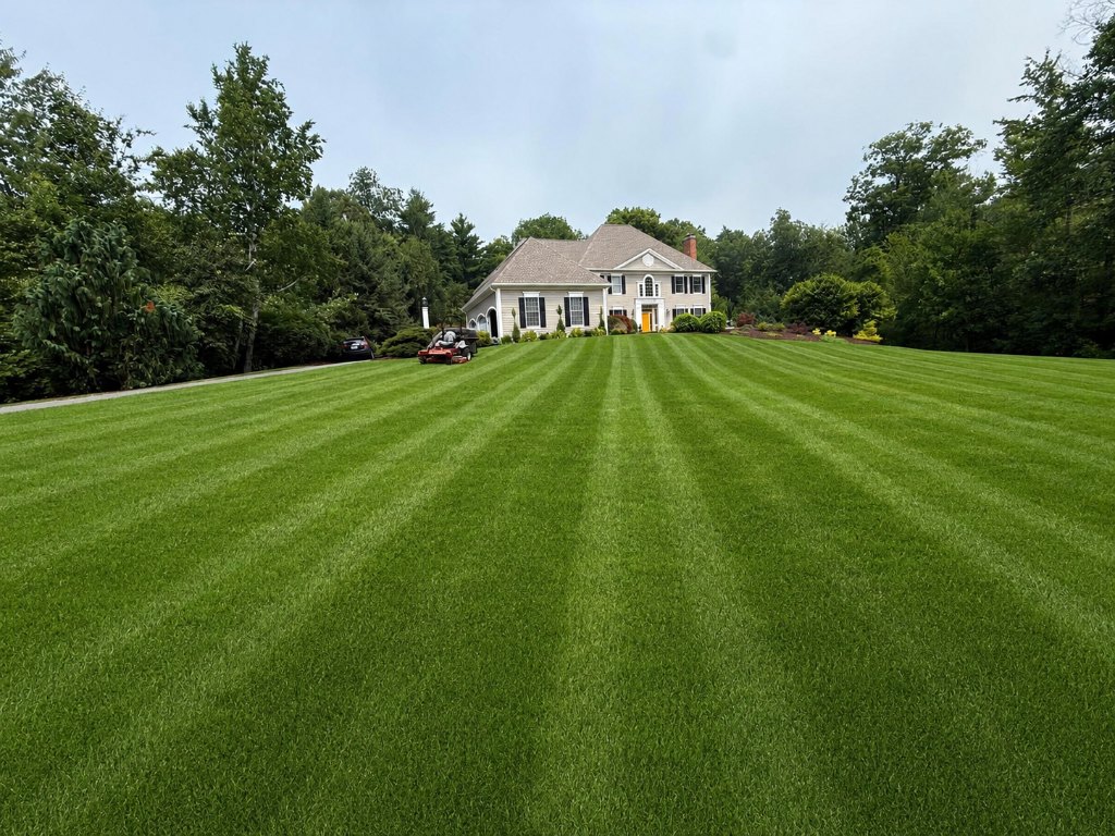 Manicured lawn and landscaping by Green Line LLC