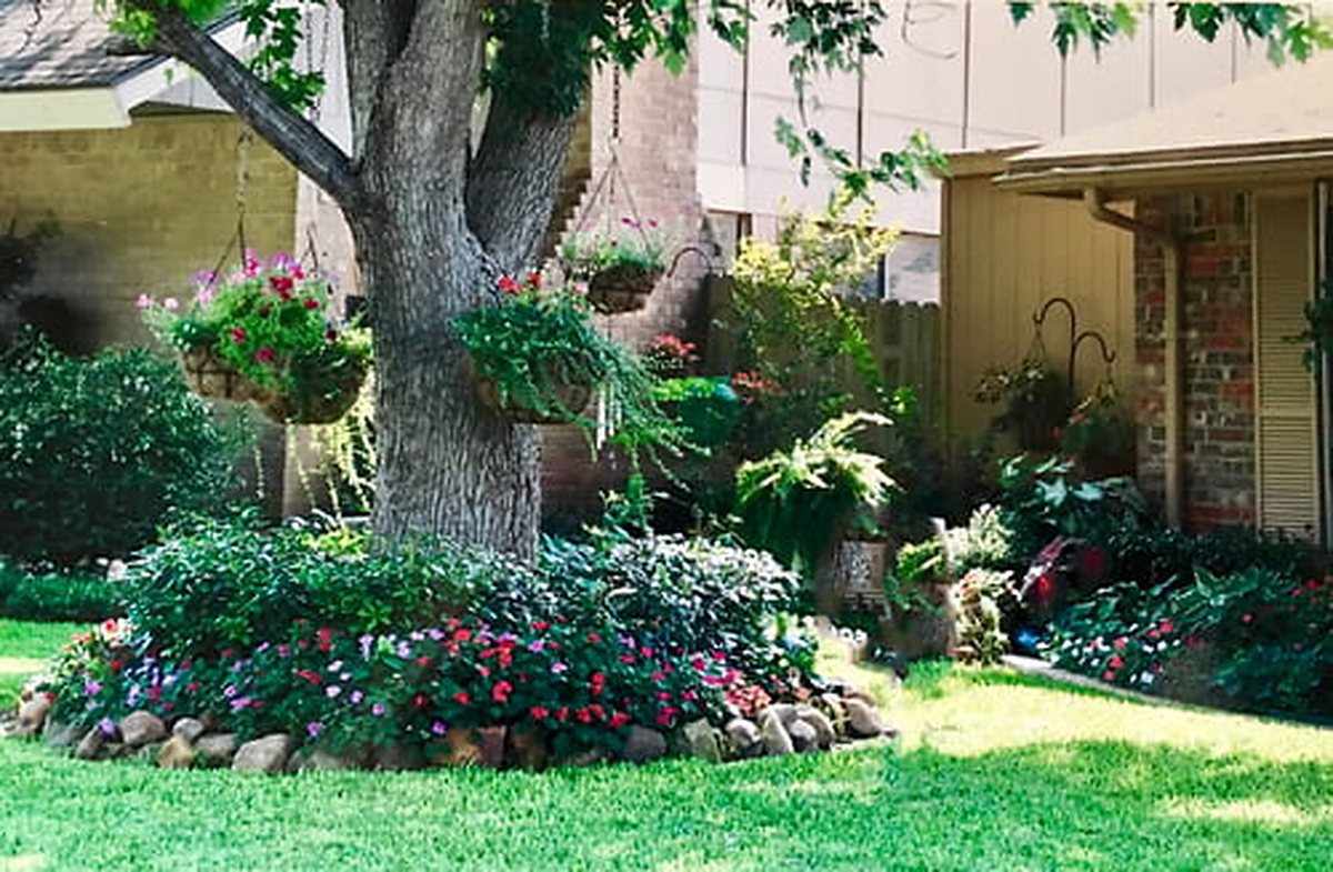 Planted bed with flowers under a mature tree