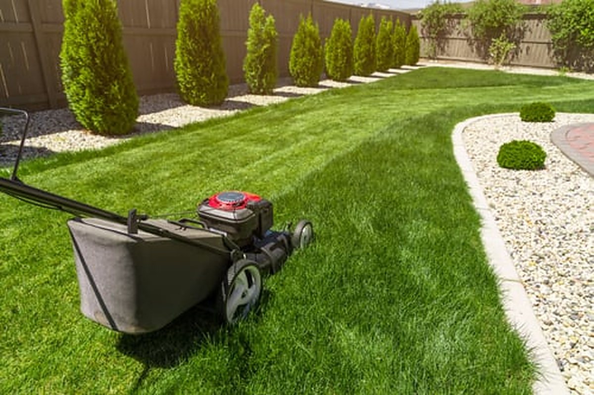 Freshly mowed and striped lawn with trimmed hedges